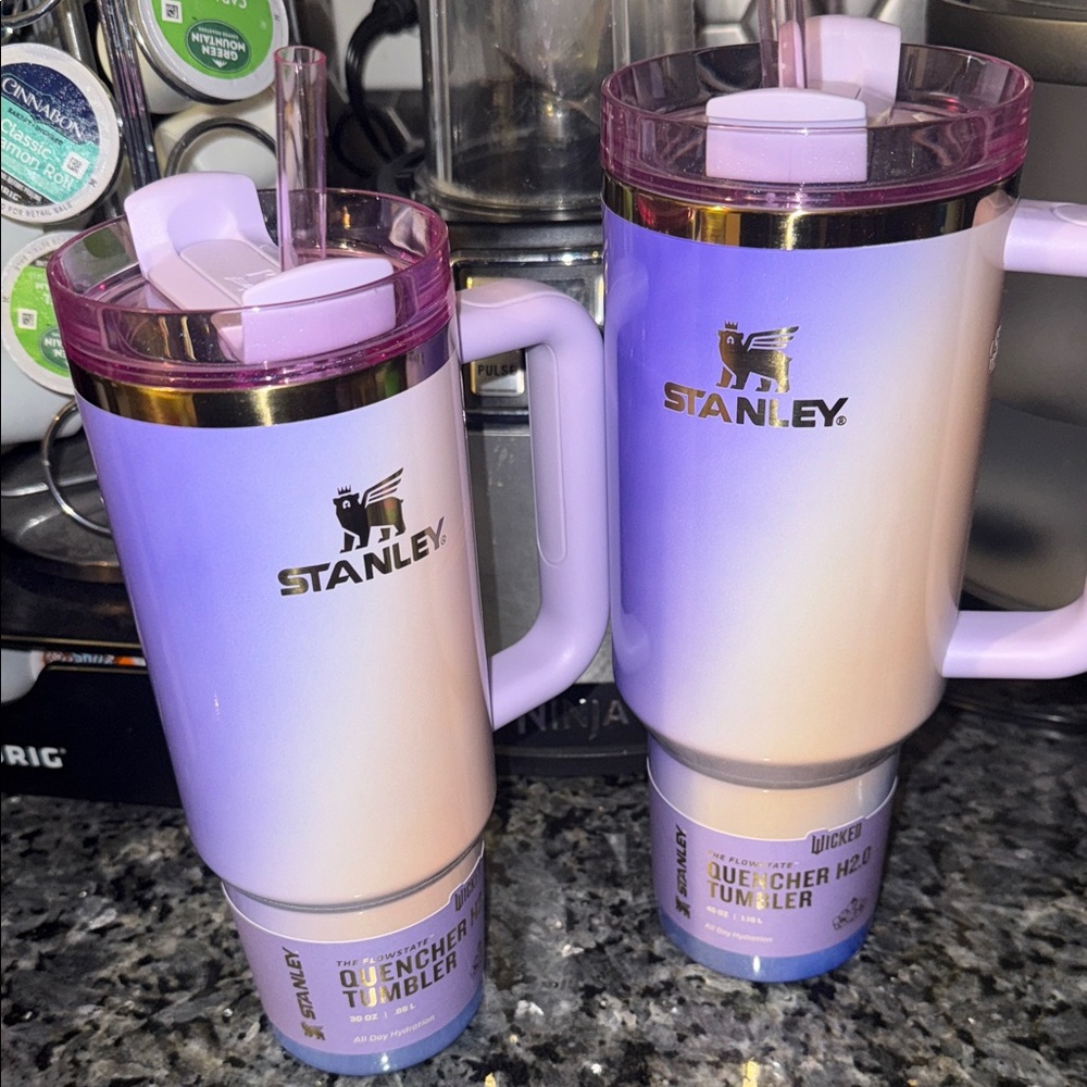 Stanley Wicked Tumblers -NEW